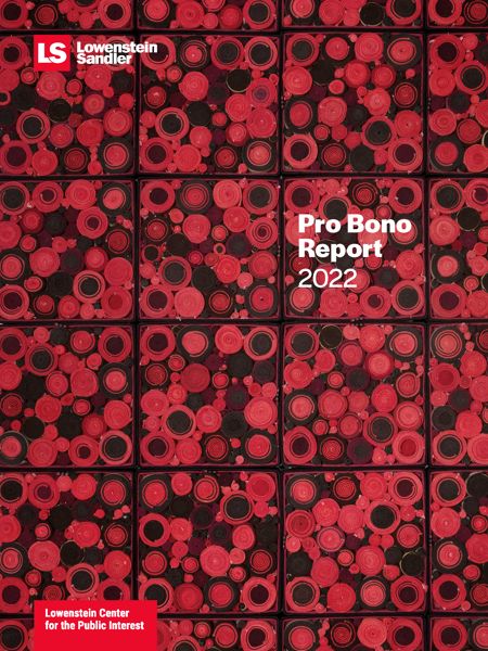 2022 Pro Bono Report