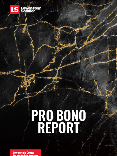 2025 Pro Bono Report